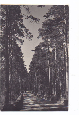 VANHA Postikortti Punkaharju 1930-l
