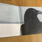 Steven Wilson : The raven that refused to sing Lp - pikkukuva 3