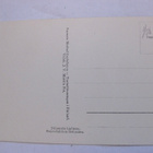 VANHA Postikortti Koli 1930-l - pikkukuva 2