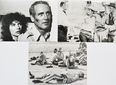 Pressikuva: Paul Newman - 3 kpl!