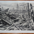 Jatkosota Taistelukenttä Sotapiirros Lindeberg 1942 - pikkukuva 1