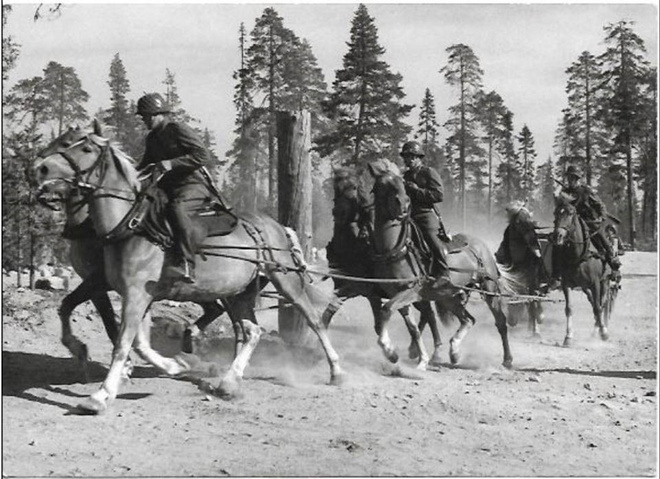 kortti ** Hevonen sodassa - erilaisia meiltä ja muualta