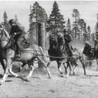 kortti ** Hevonen sodassa - erilaisia meiltä ja muualta - pikkukuva 1