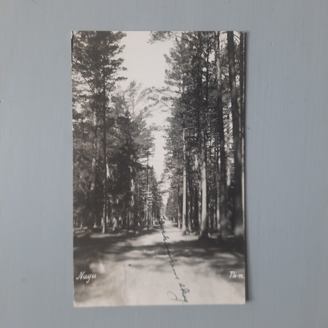 PK Nauvo metsätie, Kyrkbackens skog k-(30)