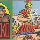 VIIDAKKO liuskalehdet 23/56 + 24/56 + 25/56 AKIM & GORILLA - pikkukuva 3
