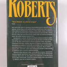 Nora Roberts : Revontulet - pikkukuva 2