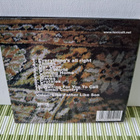 Korpi Ensemble:Puu CD - pikkukuva 2
