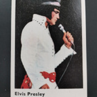 Dandy Pop Stars #11 Elvis Presley - pikkukuva 1
