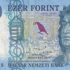 HUNGARY 1000 FORINT 2025. VF (Very Fine) - pikkukuva 1