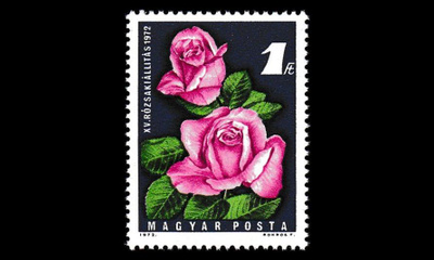 Unkari 2768 ** Ruusunäyttely (1972)