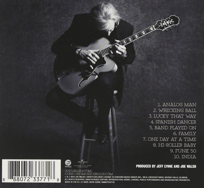 JOE WALSH - ANALOG MAN