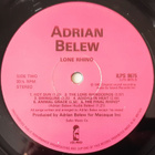 Adrian Belew: Lone Rhino, UK LP VG - pikkukuva 3