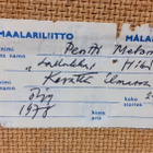 Pentti Melanen "Kevättä ilmassa" - pikkukuva 4