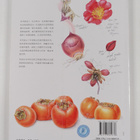 Mary Ann Scott : Botanical sketchbook - pikkukuva 2