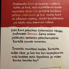 ERLEND LOE: KURTIN KÄYTÖSHÄIRIÖ - pikkukuva 2