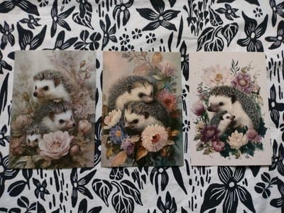 ~Siili kortti 3kpl~