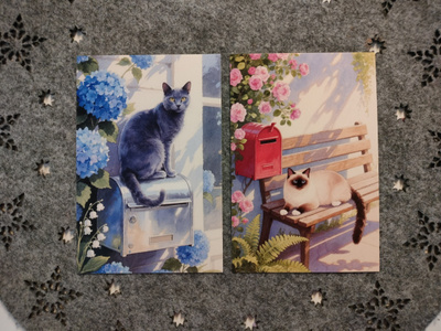 ~Kissa kortti~ 2kpl