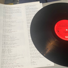 Nina Hagen: Unbehagen 1979 LP - pikkukuva 2