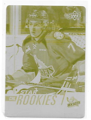 17-18 CHL RC Printing Plate 1of1 #389 Libor Zabransky Ässät