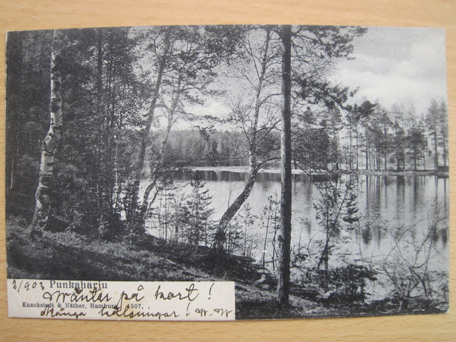 VANHA Postikortti Punkaharju 1903