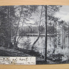 VANHA Postikortti Punkaharju 1903 - pikkukuva 1