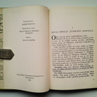 Brisley Joyce Lankester: Pikkuinen Milli-Molli, v. 1953 - pikkukuva 3