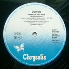 Divinyls - Pleasure & Pain 12" - pikkukuva 4
