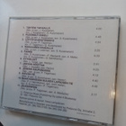 CD Sakari Kuosmanen - Masters ( Sis.postikulut ) - pikkukuva 2