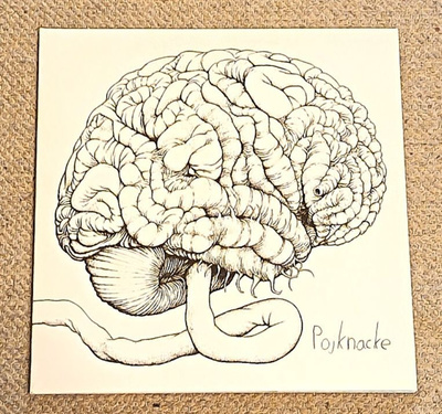 Tom Karlsson - Pojknacke LP
