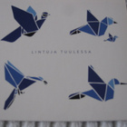 LINTUJA TUULESSA (CD) - pikkukuva 1