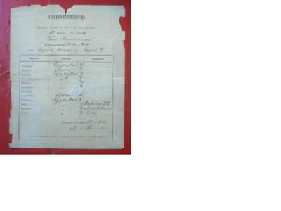 Tutkintotodistus 1900 - 1901 Haminan ylempi kansakoulu