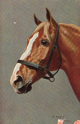Vanha postikortti- hevonen