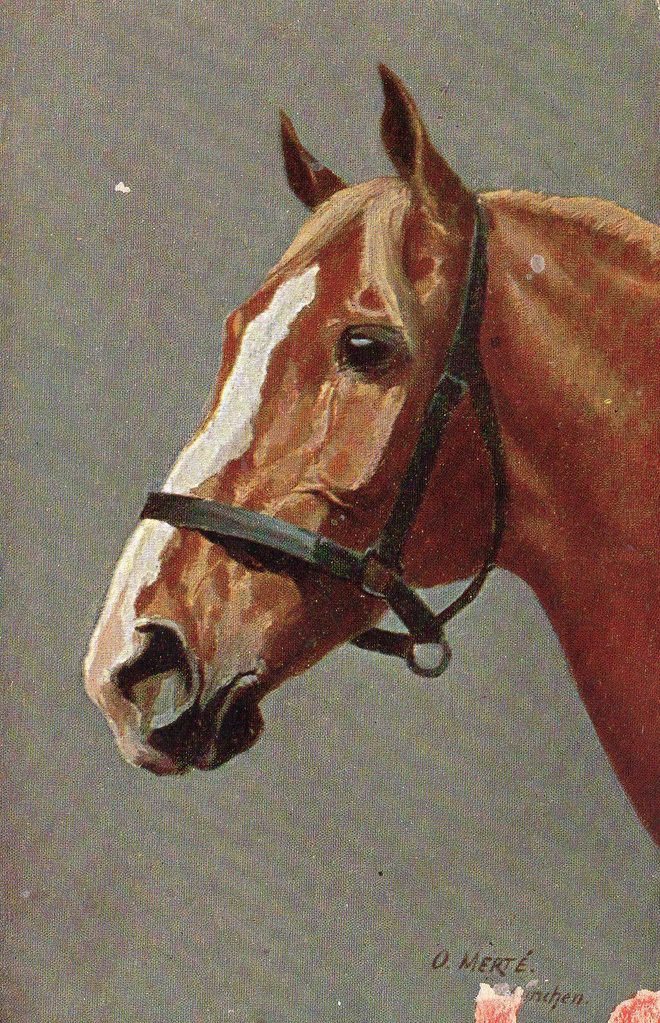 Vanha postikortti- hevonen