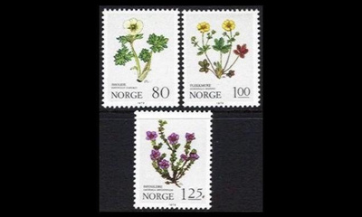 Norja 806-8 ** Kukkia (1979)