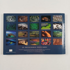 Yann Arthus-Bertrand : Earth from above - Postcard book - pikkukuva 2