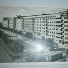 Helsinki, Hesperiankatu, puistoa + bussi, mv pk, p. 1954 - pikkukuva 1
