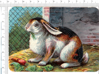 ~ pupu-nelkku, 12 x 8 cm ~