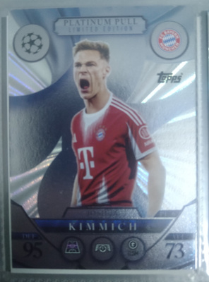 Kimmich platinum pull 