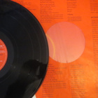 Neil Young & Crazy Horse: Reactor LP - pikkukuva 4