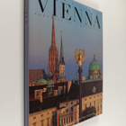 Manfred Horvath : Vienna - Portrait of a Metropoly - pikkukuva 1