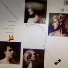 SIOUXSIE&THE BANSHEES - THROUGH THE LOOKING GLASS-VINYL LP - pikkukuva 2