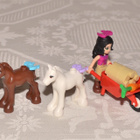LEGO Friends - Emman varsat - - pikkukuva 4