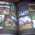 Koneellisen puunkorjuun viisi vuosikymmentä ( 1 p. 2011 ) - pikkukuva 4
