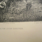 VANHA Gravyyri Lindholm Loviisa Salapolttimo 1888 Tilgmann - pikkukuva 2