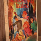 Enid Blyton : Seikkailujen laakso ( 8.p. 1984 k.po ) - pikkukuva 1