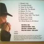 The Clay Bay Wolves - Taken By The Blues CD - pikkukuva 2