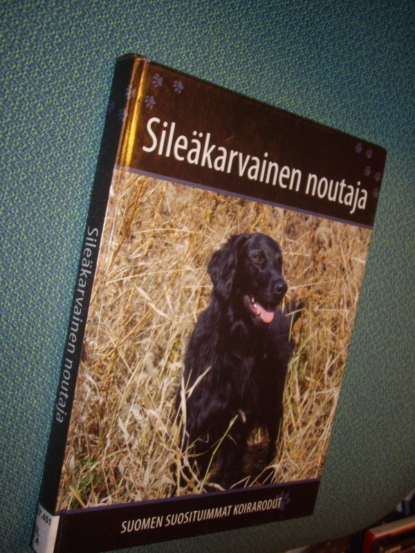 SILEÄKARVAINEN NOUTAJA (Suomen suosituimmat koirarodut)