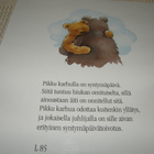 Pfister Paljon onnea, pikku karhu! - pikkukuva 3