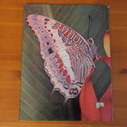 Robert Goodden:All Colour Book of Butterflies.Sid. - pikkukuva 2