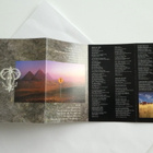 David COVERDALE Jimmy PAGE C-KASETTI 1993 - pikkukuva 2